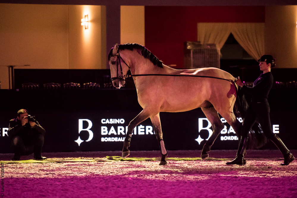 Nuit Iberique 20190206-0380