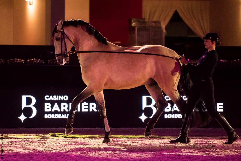 Nuit Iberique 20190206-0380