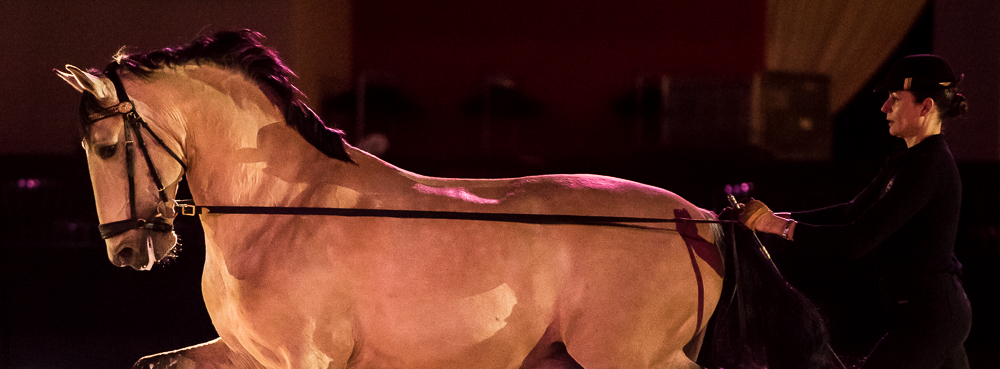 Nuit Iberique 20190206-0386