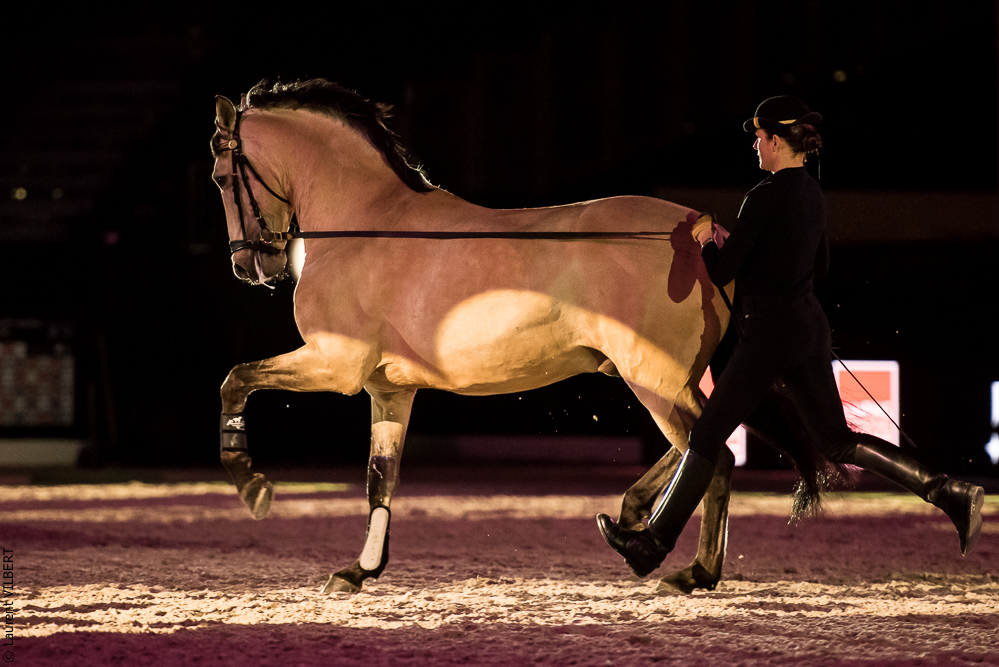 Nuit Iberique 20190206-0401