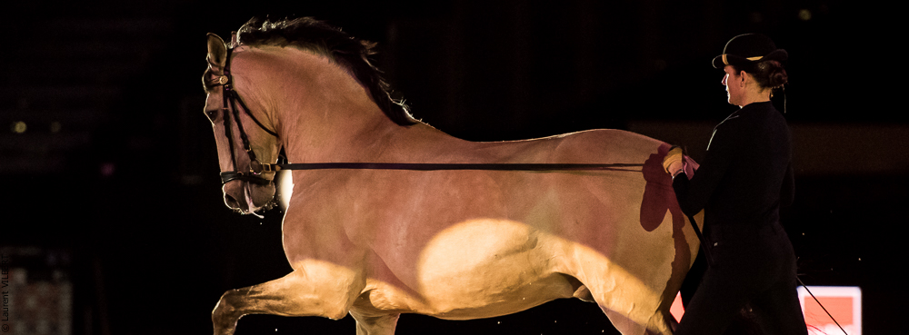 Nuit Iberique 20190206-0401