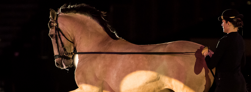 Nuit Iberique 20190206-0401