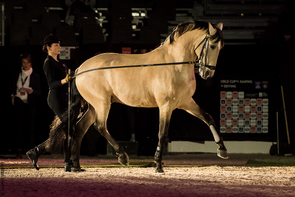 Nuit Iberique 20190206-0410