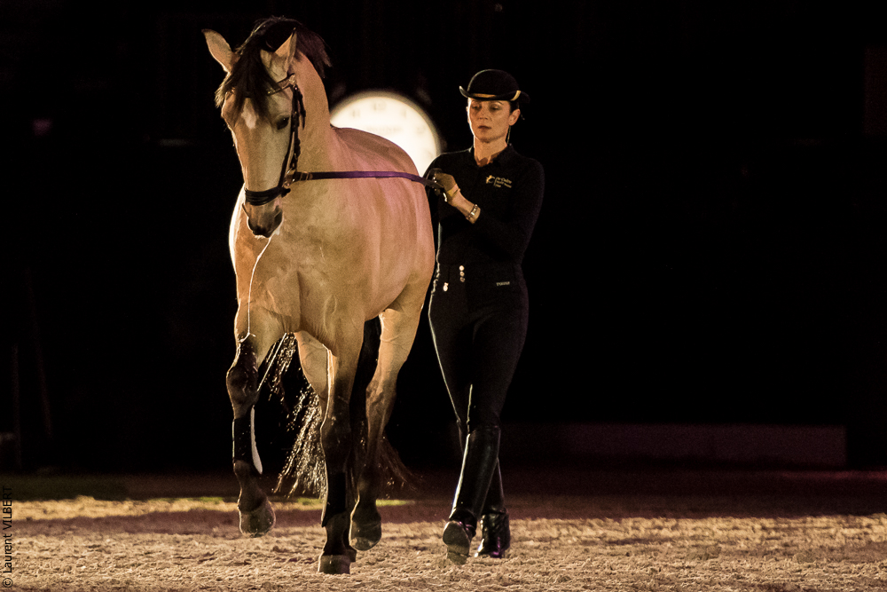 Nuit Iberique 20190206-0415