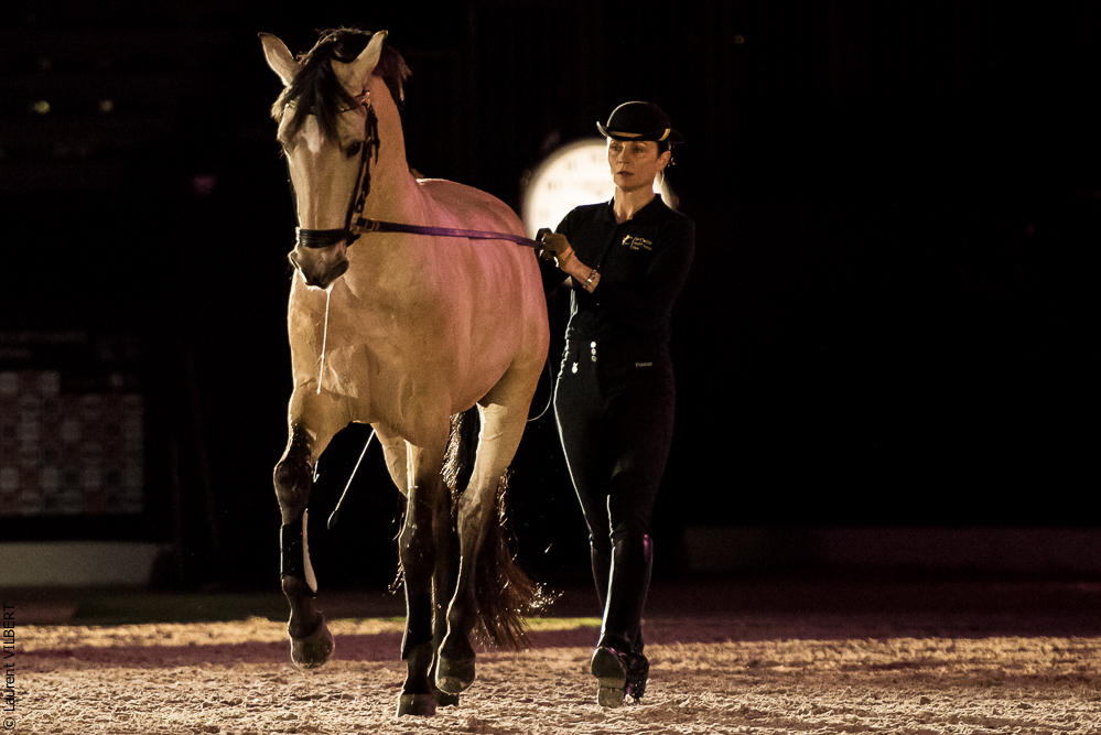 Nuit Iberique 20190206-0417