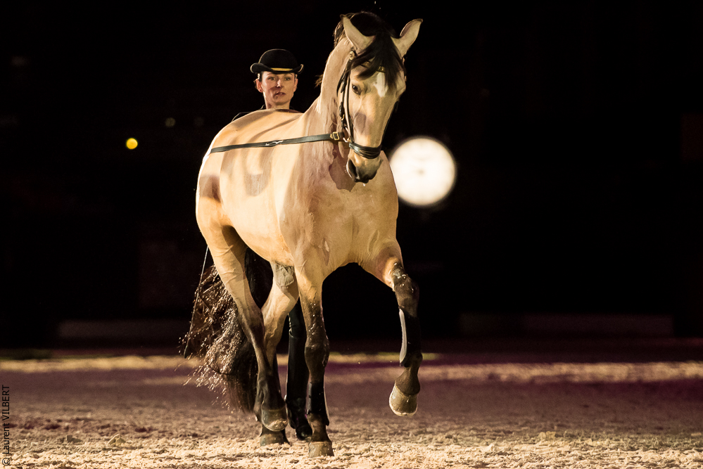 Nuit Iberique 20190206-0425