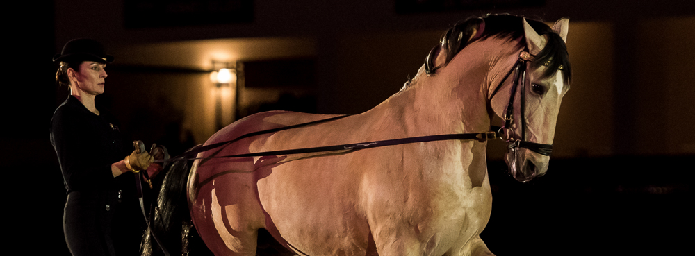 Nuit Iberique 20190206-0430