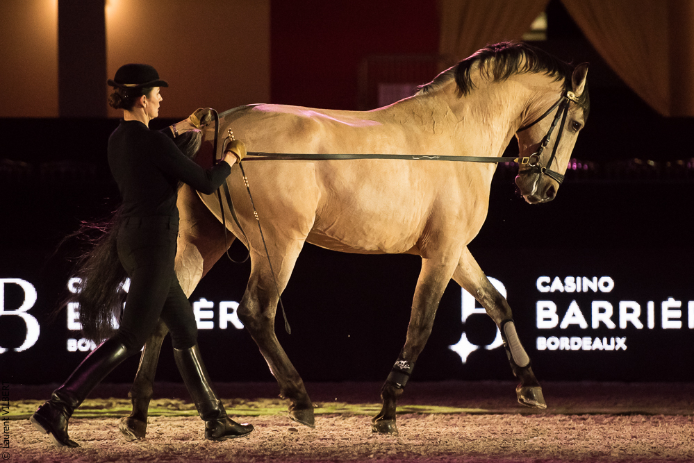 Nuit Iberique 20190206-0439