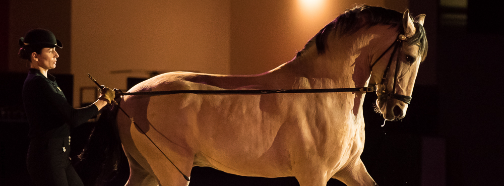 Nuit Iberique 20190206-0446