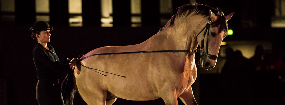 Nuit Iberique 20190206-0448