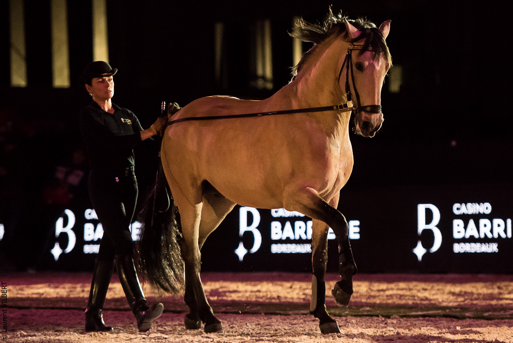 Nuit Iberique 20190206-0453