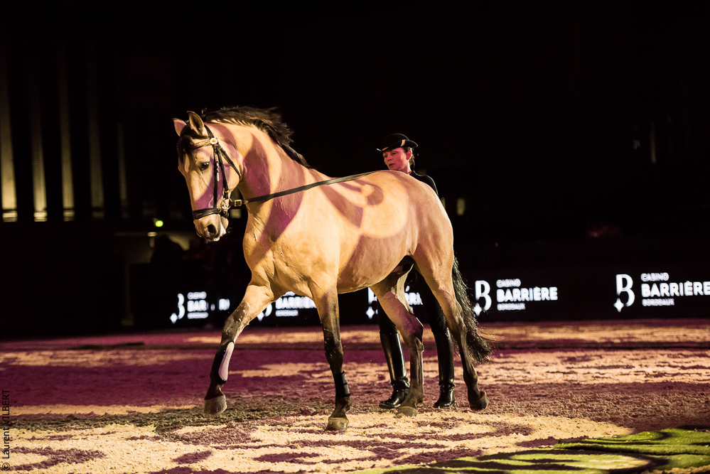 Nuit Iberique 20190206-0460