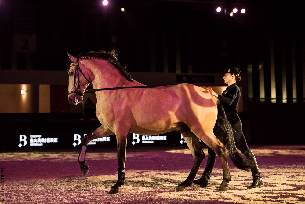 Nuit Iberique 20190206-0463