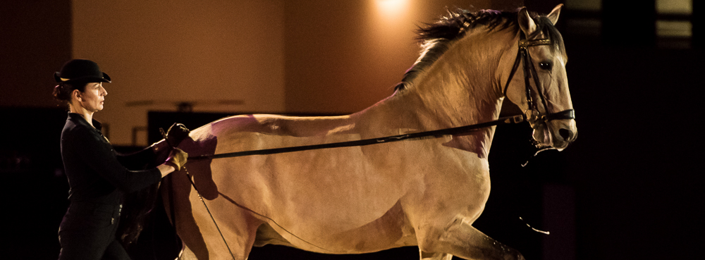 Nuit Iberique 20190206-0471