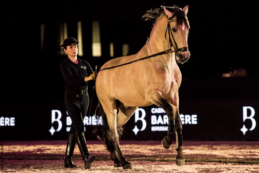 Nuit Iberique 20190206-0480