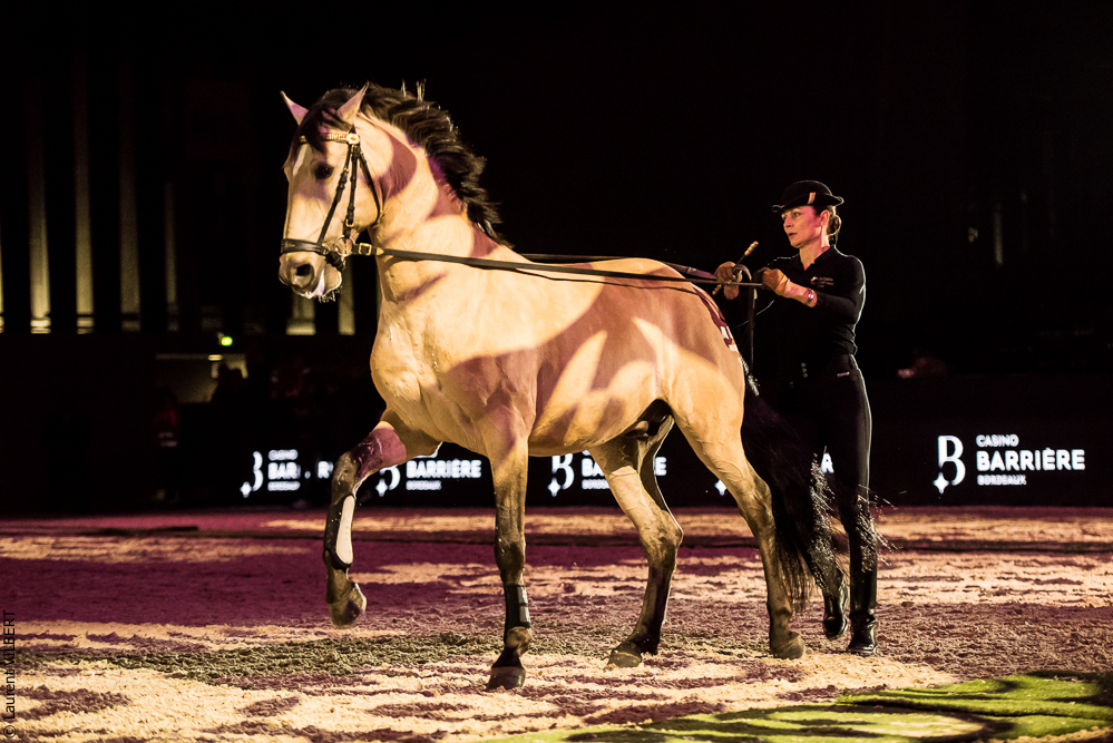 Nuit Iberique 20190206-0486