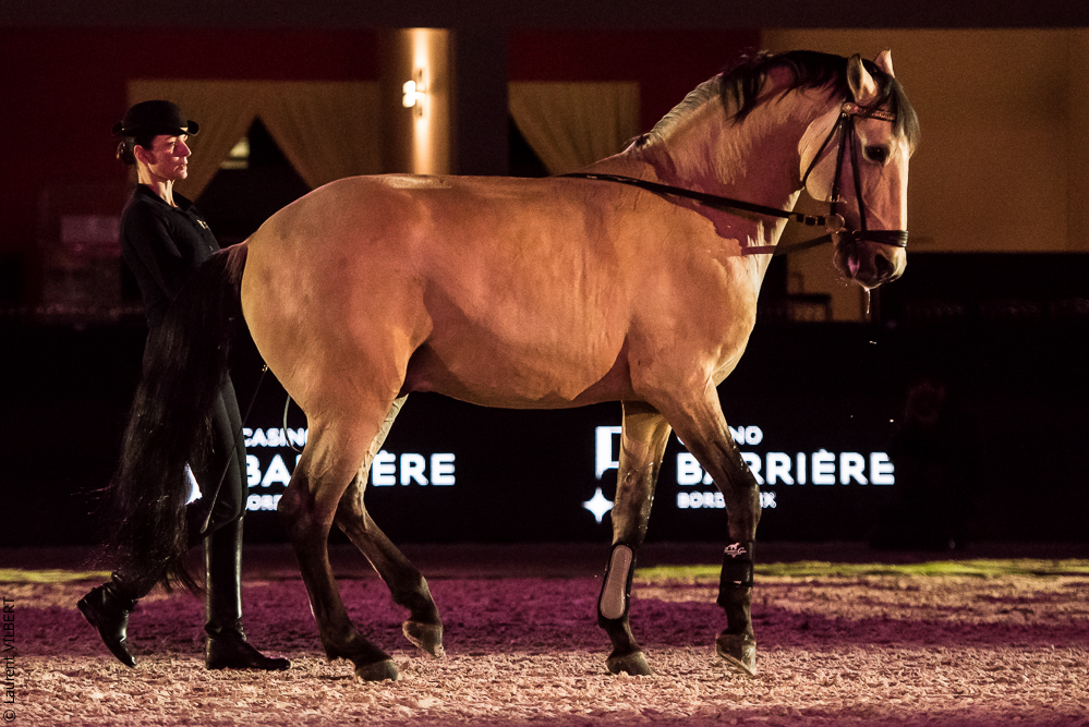 Nuit Iberique 20190206-0493