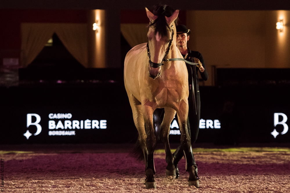 Nuit Iberique 20190206-0496