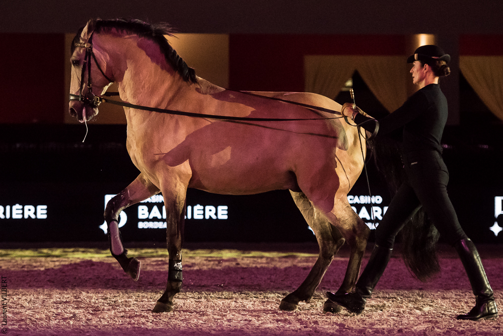 Nuit Iberique 20190206-0499