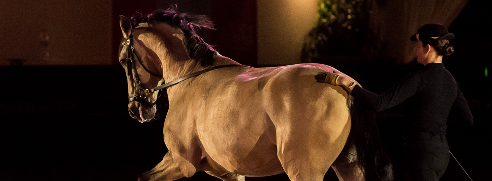 Nuit Iberique 20190206-0504