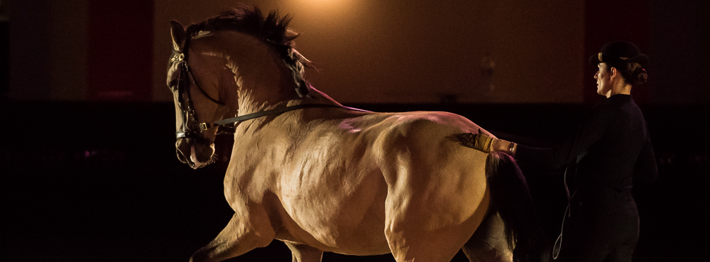 Nuit Iberique 20190206-0506