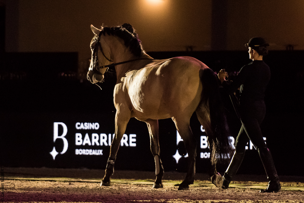 Nuit Iberique 20190206-0512