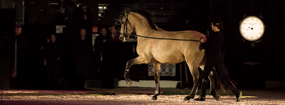 Nuit Iberique 20190206-0515