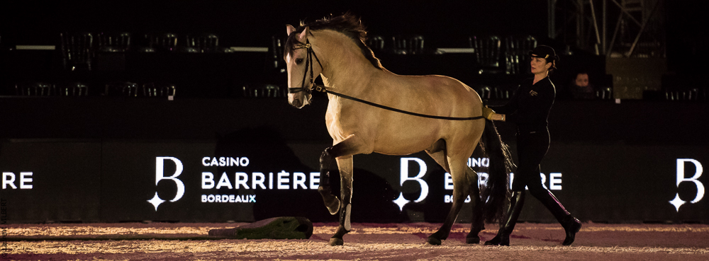Nuit Iberique 20190206-0518