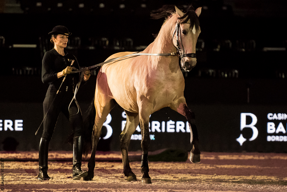 Nuit Iberique 20190206-0523