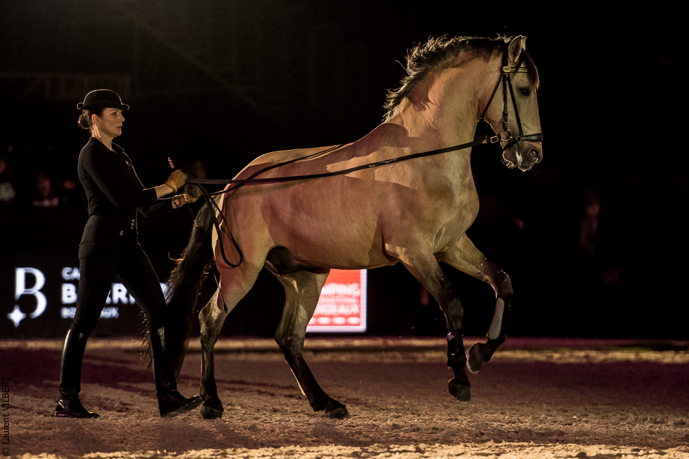 Nuit Iberique 20190206-0530