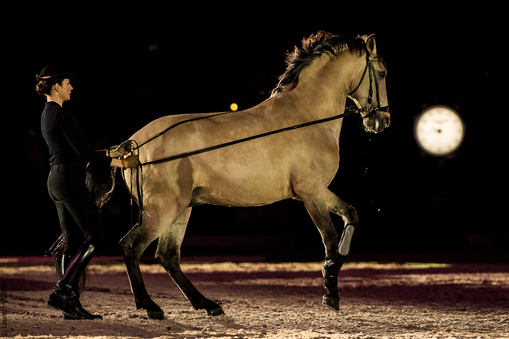 Nuit Iberique 20190206-0532