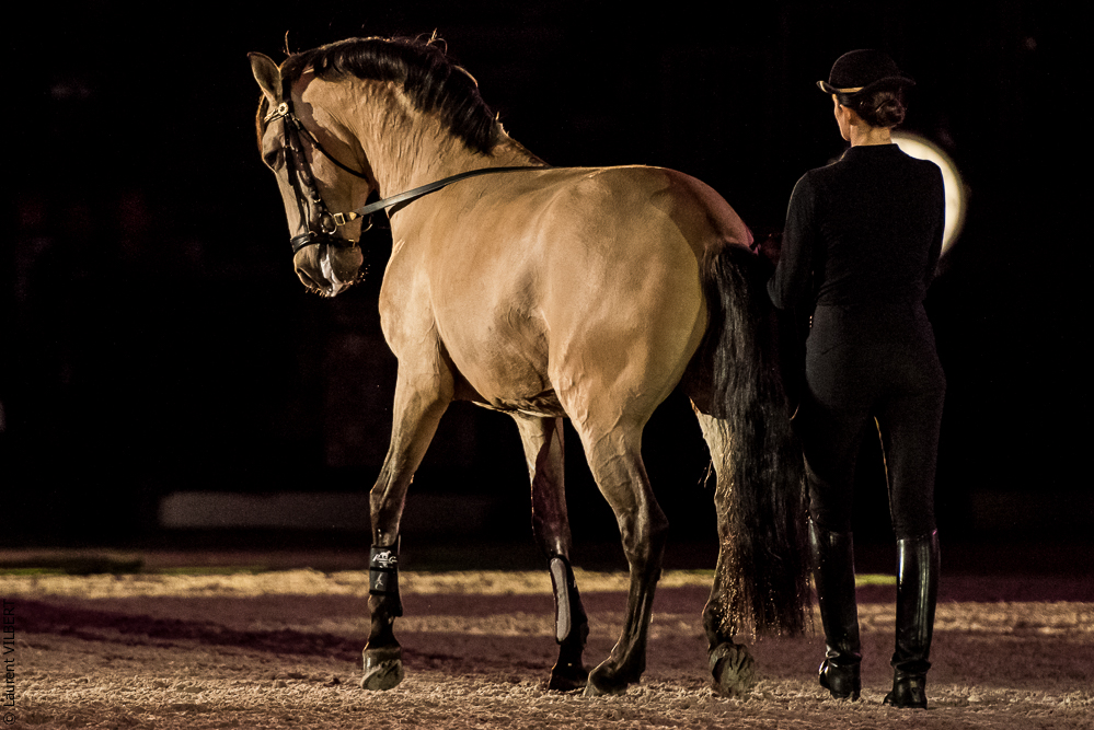 Nuit Iberique 20190206-0534