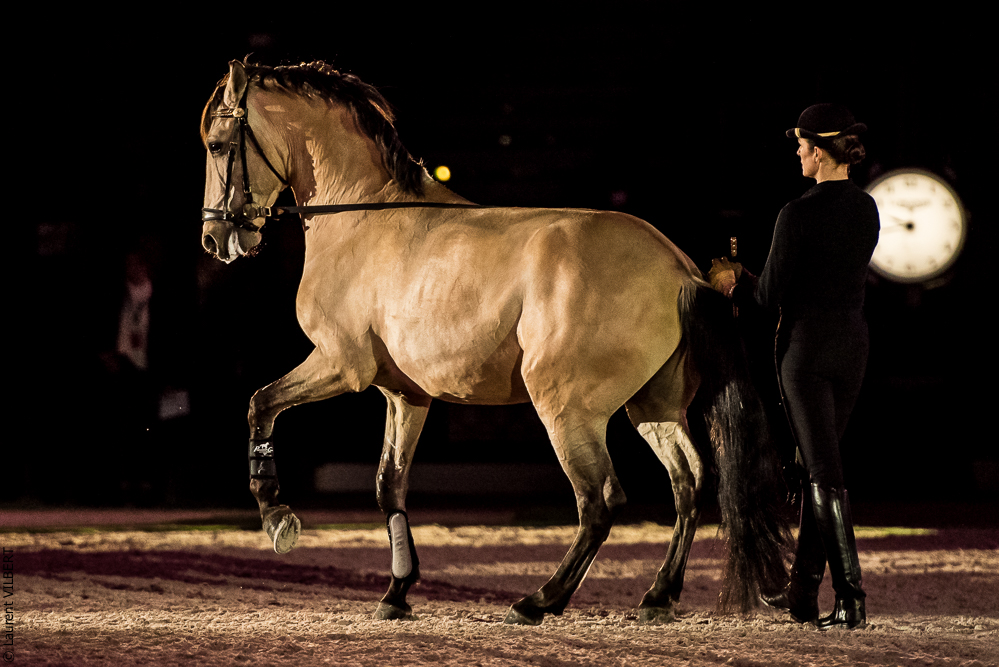 Nuit Iberique 20190206-0535