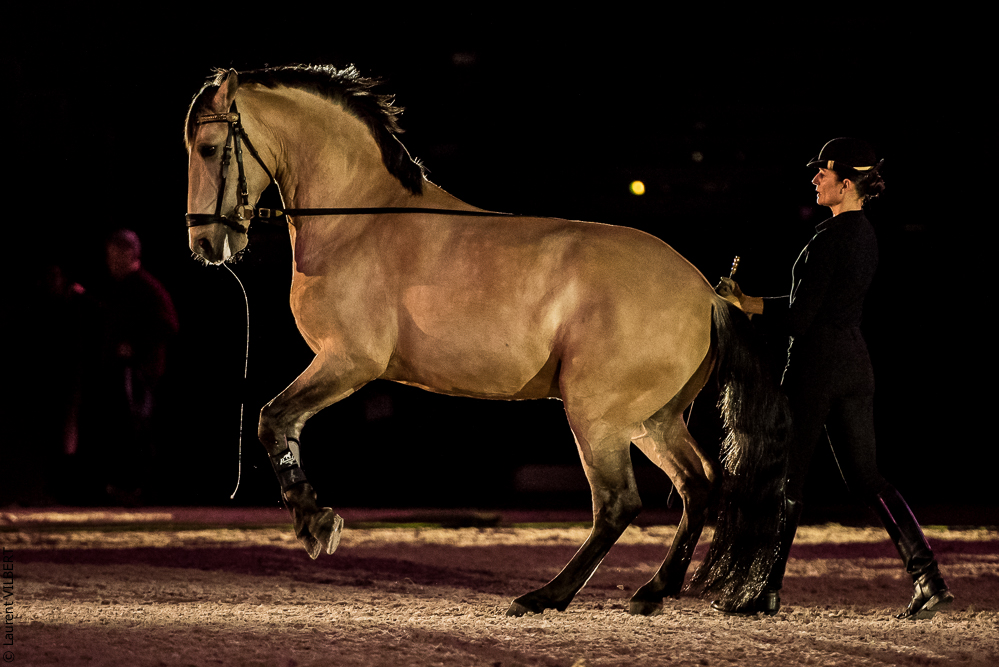 Nuit Iberique 20190206-0536