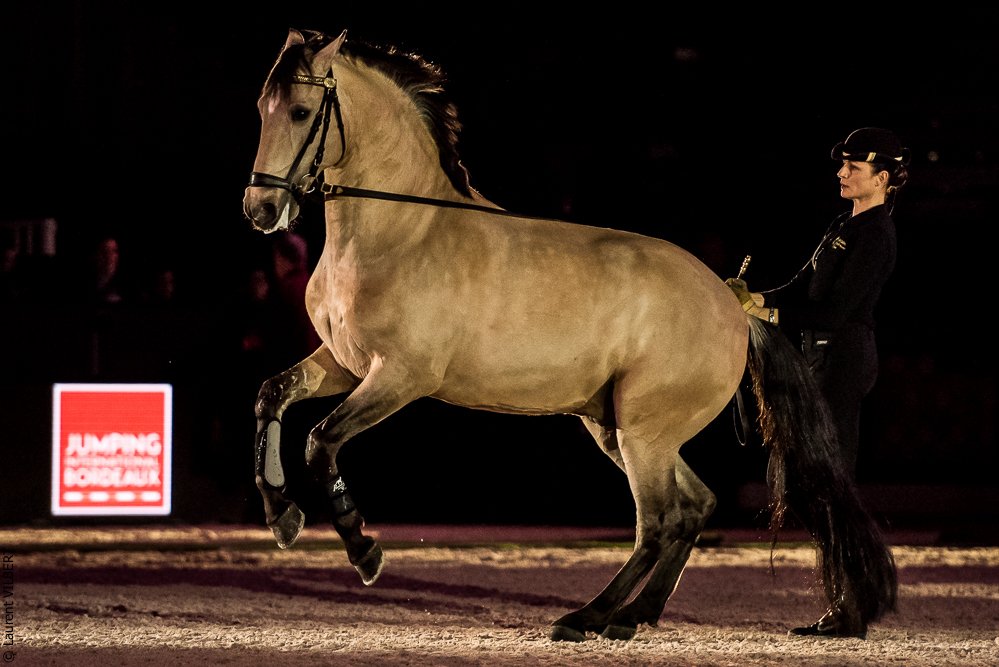 Nuit Iberique 20190206-0537