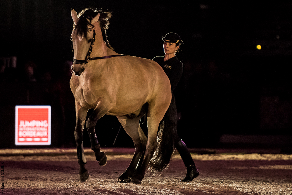 Nuit Iberique 20190206-0538