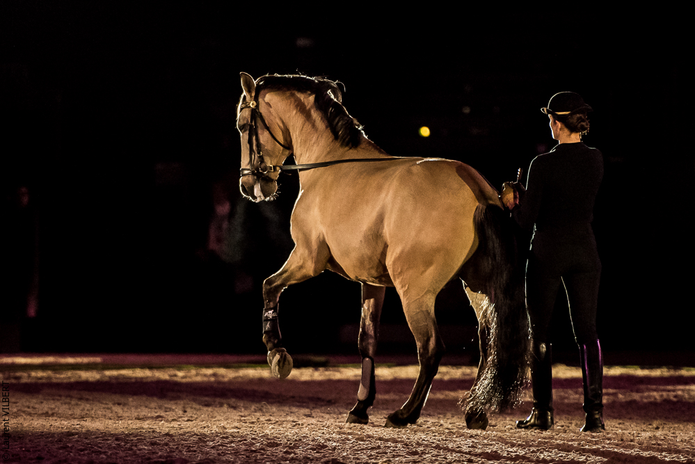 Nuit Iberique 20190206-0543