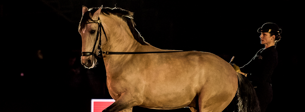 Nuit Iberique 20190206-0546