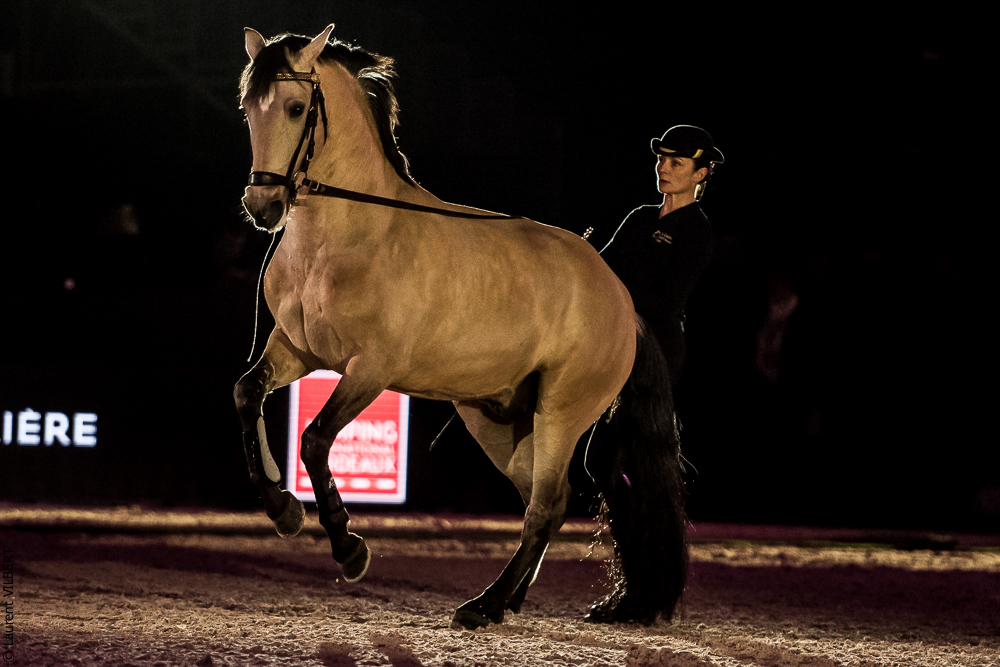 Nuit Iberique 20190206-0547