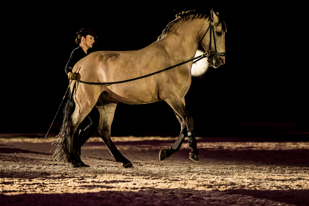 Nuit Iberique 20190206-0551