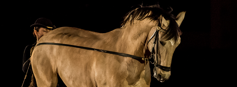 Nuit Iberique 20190206-0559