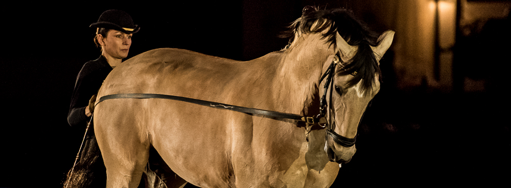 Nuit Iberique 20190206-0560