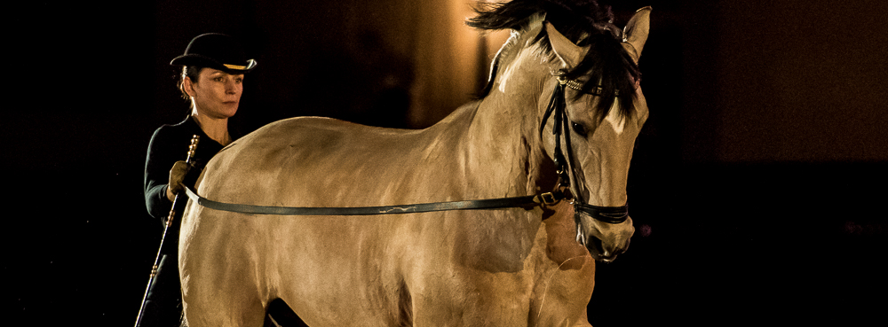 Nuit Iberique 20190206-0561