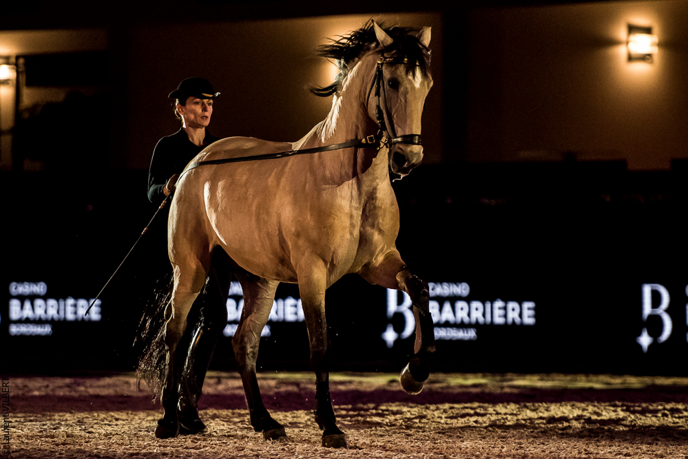 Nuit Iberique 20190206-0563