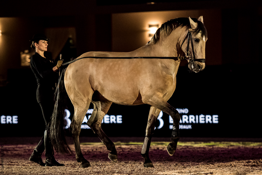 Nuit Iberique 20190206-0574