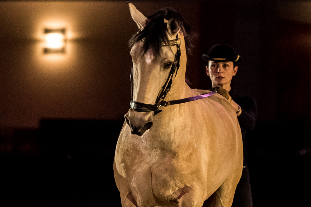 Nuit Iberique 20190206-0580