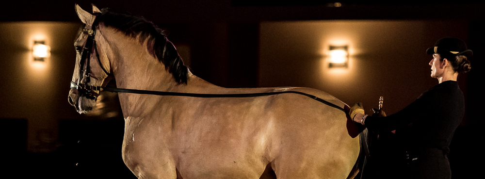 Nuit Iberique 20190206-0586