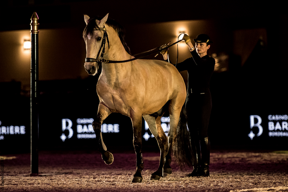 Nuit Iberique 20190206-0601