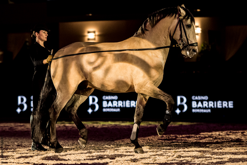 Nuit Iberique 20190206-0607