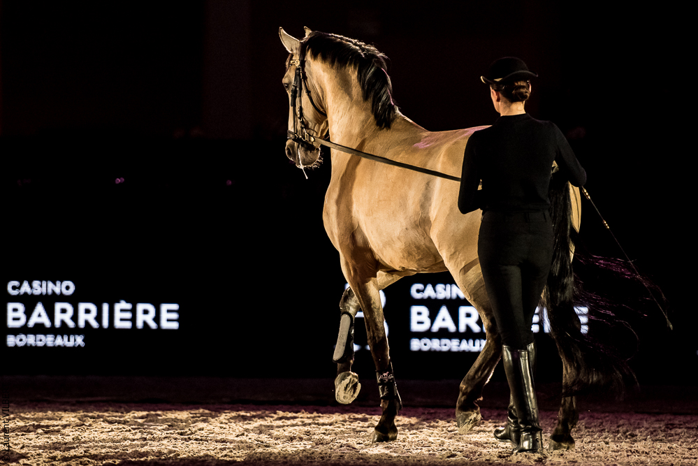 Nuit Iberique 20190206-0614